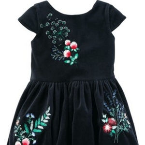 Beautiful Velvet Special Occasion Dress